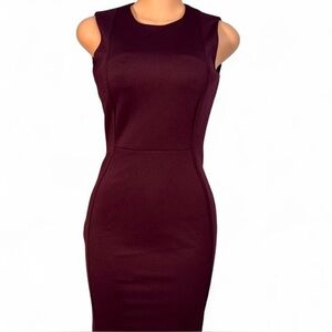 Elegant Sleeveless Burgundy Dress